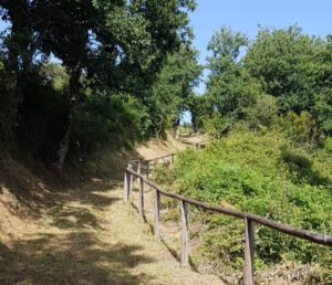 sentiero-madonna-del-carmelo